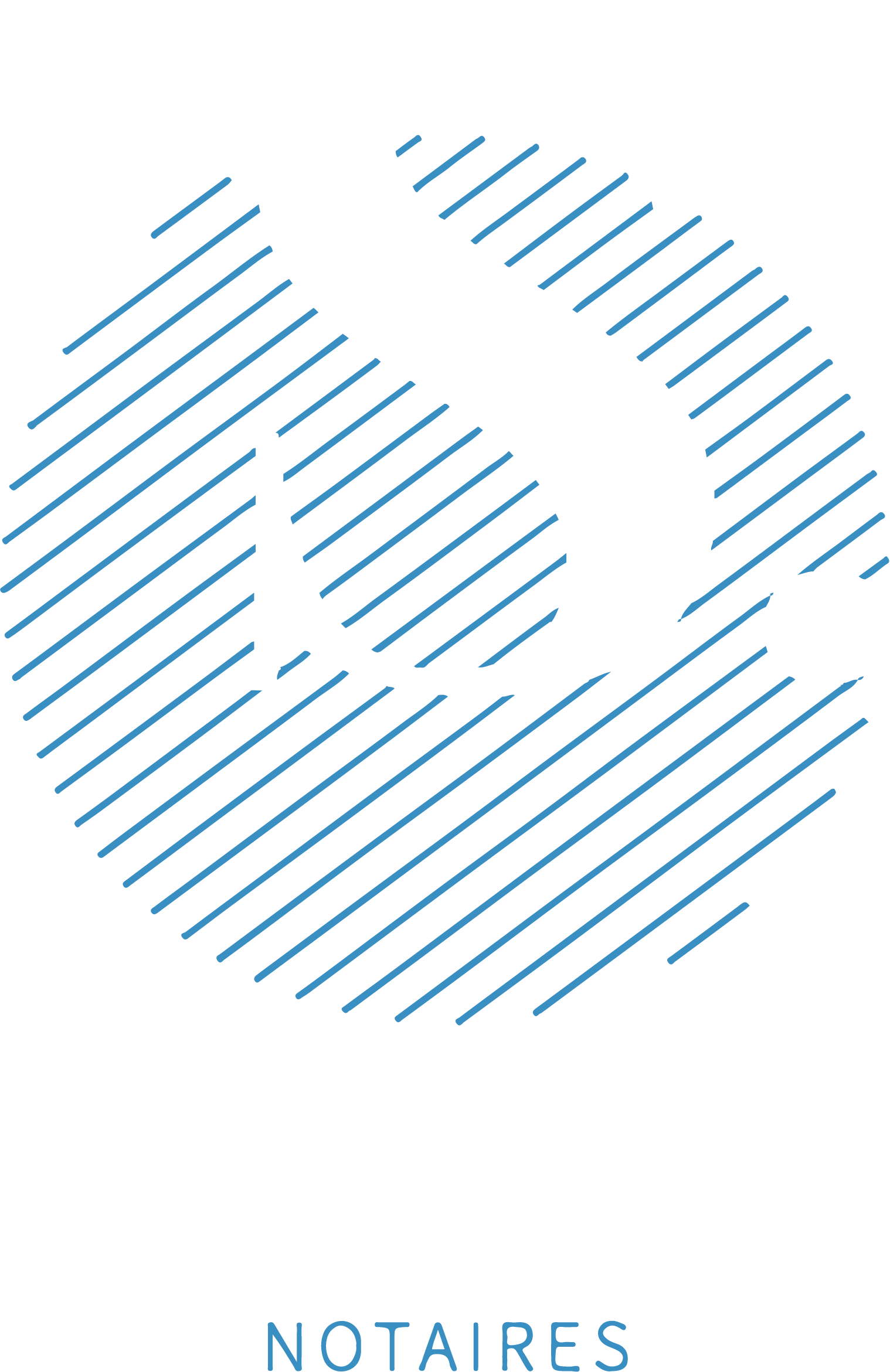 Logo Synergie Notaires blanc et bleu